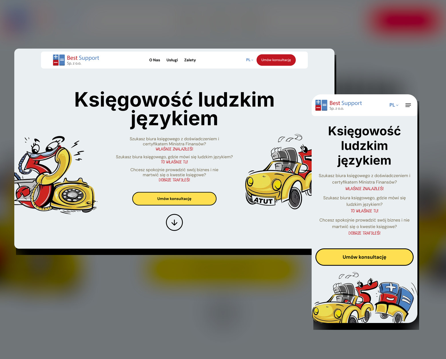 Главная страница bestsupport.pl